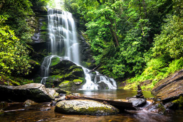 Wasserfall in grüner Natur